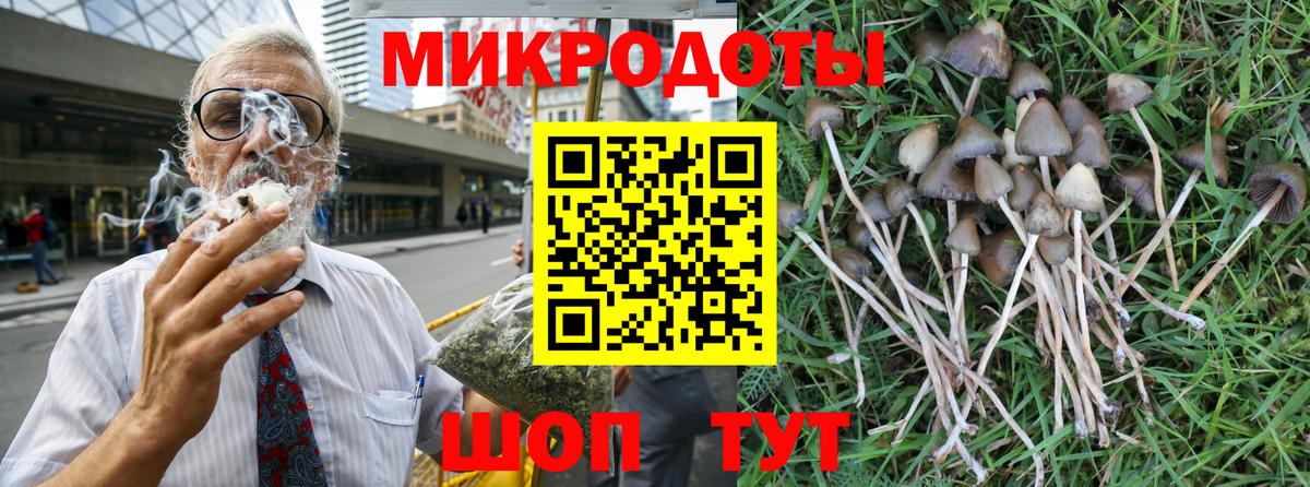 Карабулак  Галлюциногенные грибы Psilocybine cubensis  закладки  Псилоцибиновые грибы мухоморы  Вход с VPN 